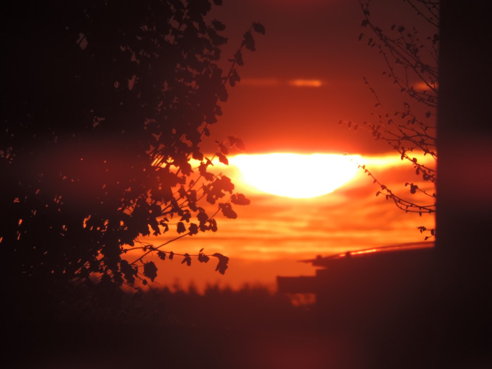 2015 05 02 before and after pop DSCN3132 jpg