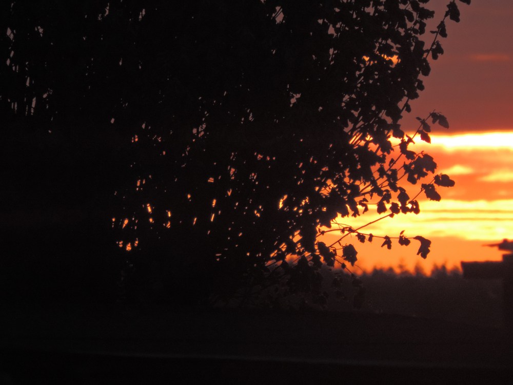 2015 05 02 before and after pop DSCN3136 jpg