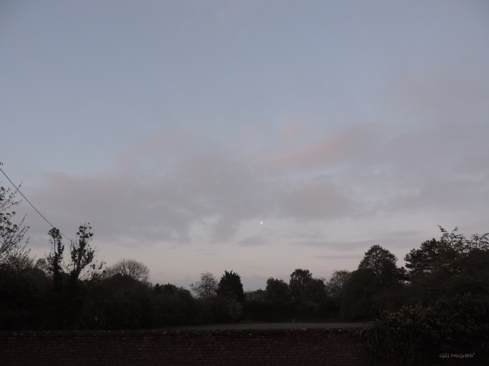 2015 05 07 544 sunrise mooning DSCN3704 jpg sig