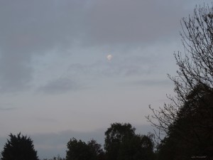 2015 05 07 sunrise moon DSCN3707 jpg sig