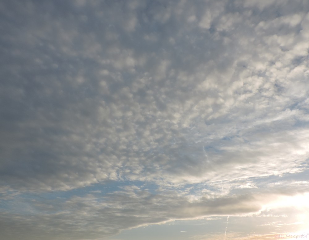 2015 05 11 sky DSCN4343 jpg sig