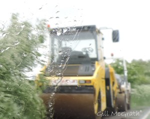 2015 05 14 color today DSCN4883 jpg sig