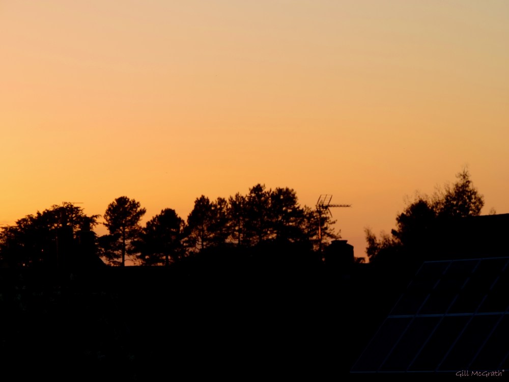 2015 05 14  yesterday  set DSCN4841 jpg sig