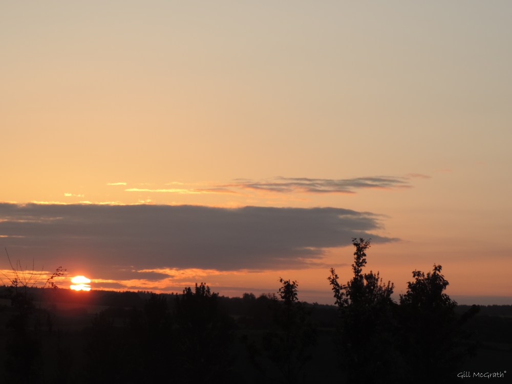 2015 05 15 526   sunriseDSCN4904 jpg sig