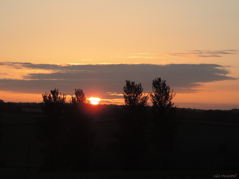 2015 05 15 527  sunrise  DSCN4909 jpg sig