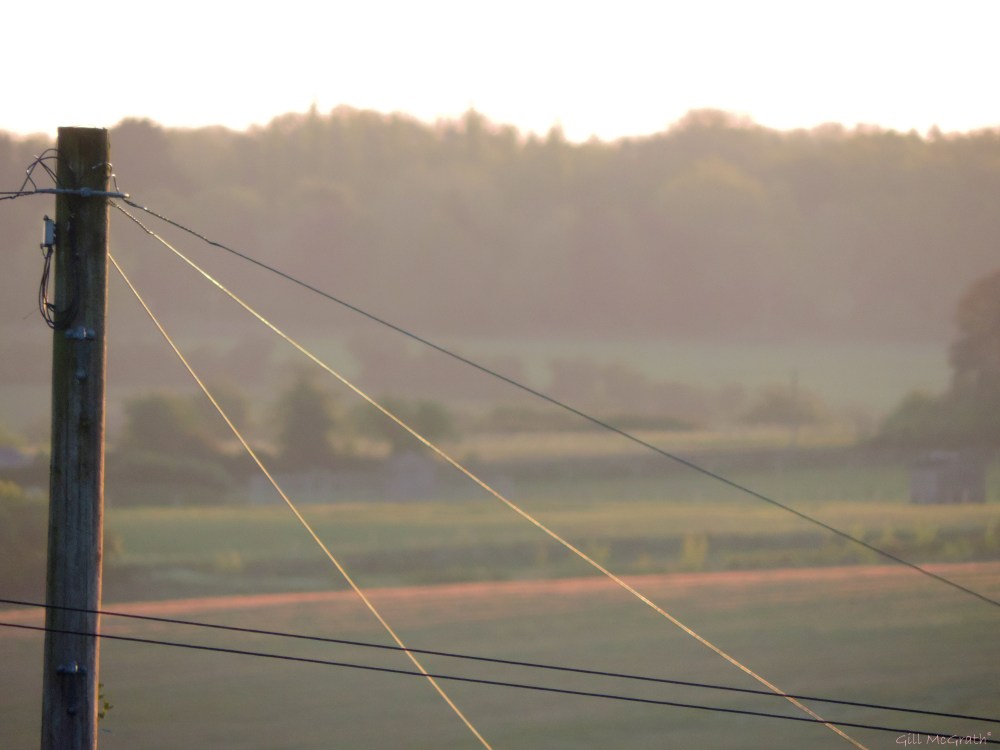 2015 05 15 552 sunrise DSCN4978 jpg sig