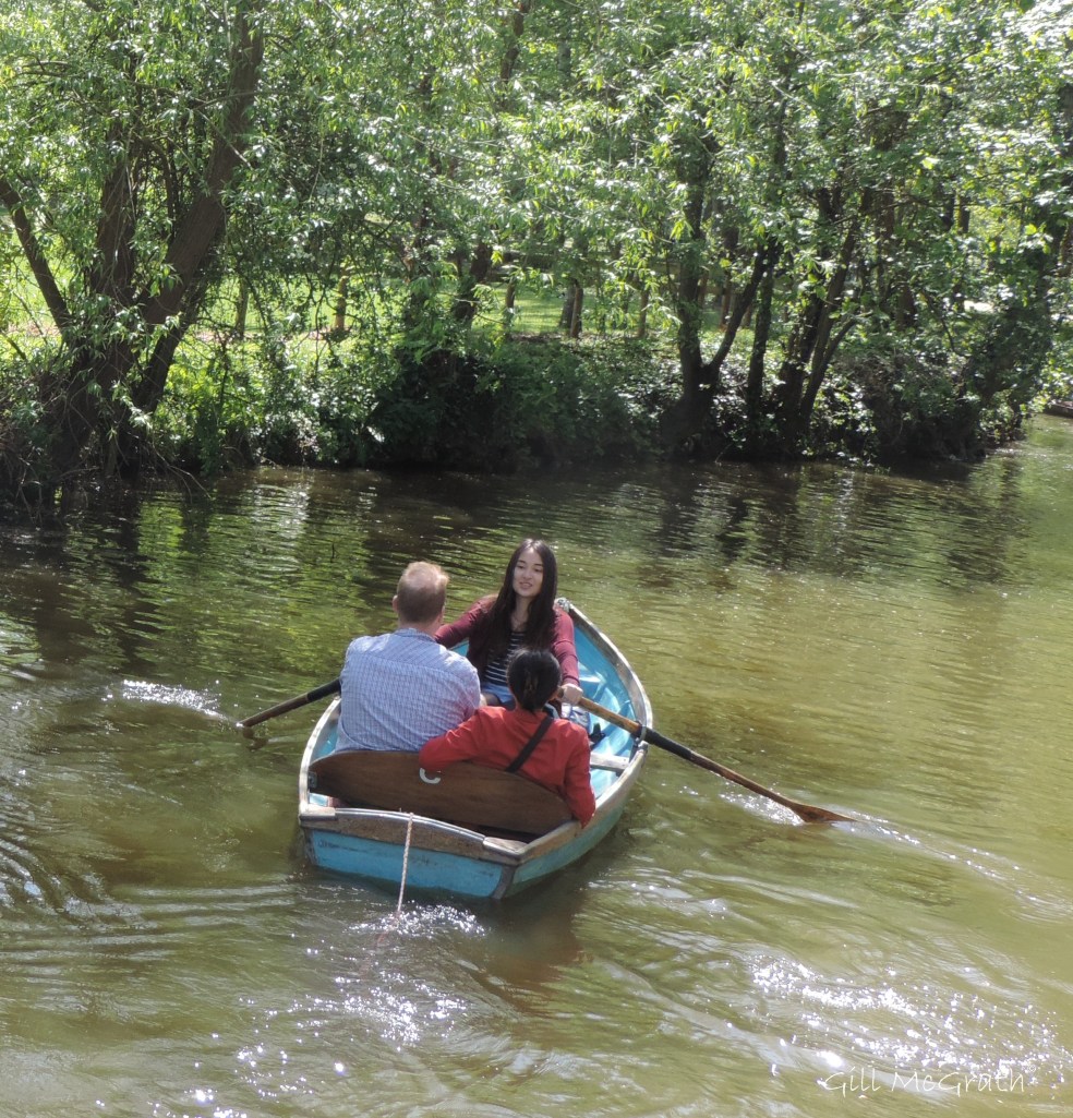 2015 05 16 messing   DSCN5132 Jpg sig