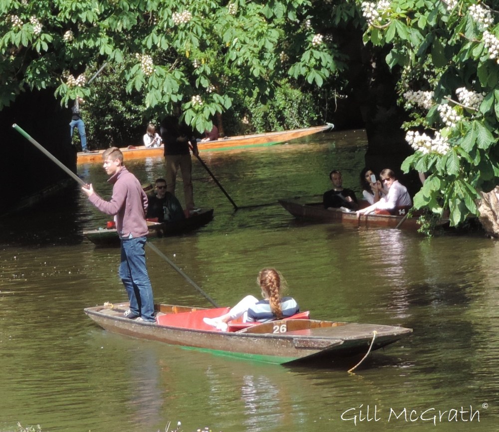 2015 05 16 messing DSCN5181 jpg sig