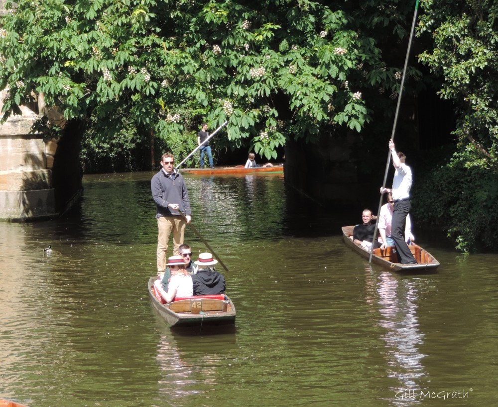 2015 05 16 messing DSCN5182 jpg sig