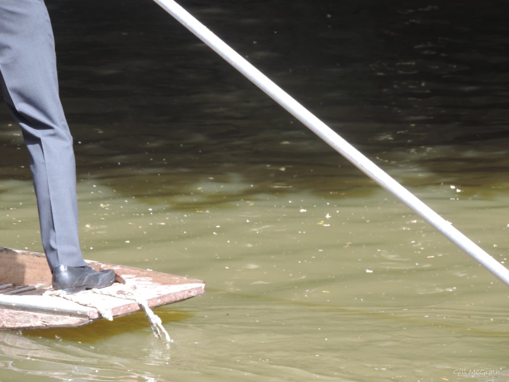 2015 05 16 messing  DSCN5205 jpg sig