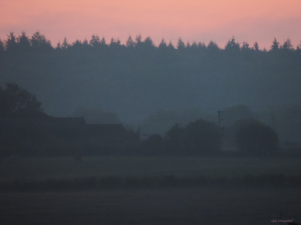 2015 05 23 DSCN5922 434 2015 05 23 sunrise jpg sig