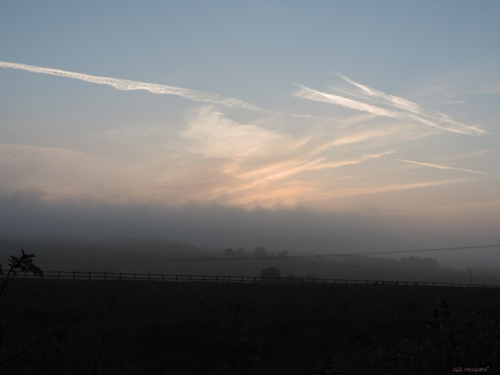 2015 05 24 521 mist on the hill blue over dew DSCN6147 jpg sig