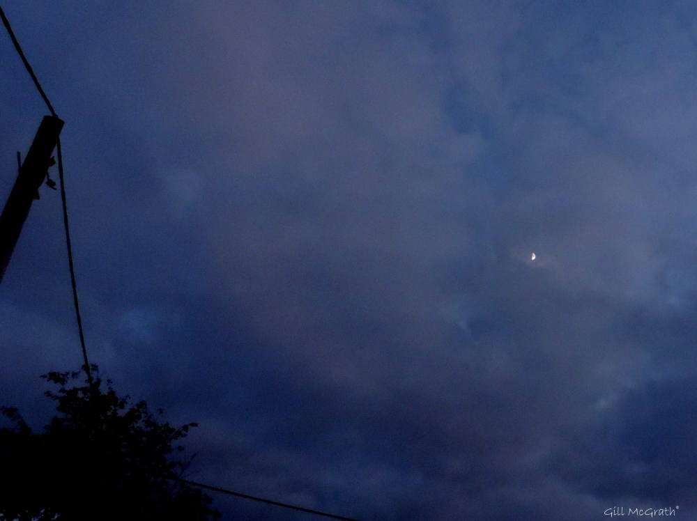 2015 05 25 moon light DSCN6459 jpg sig