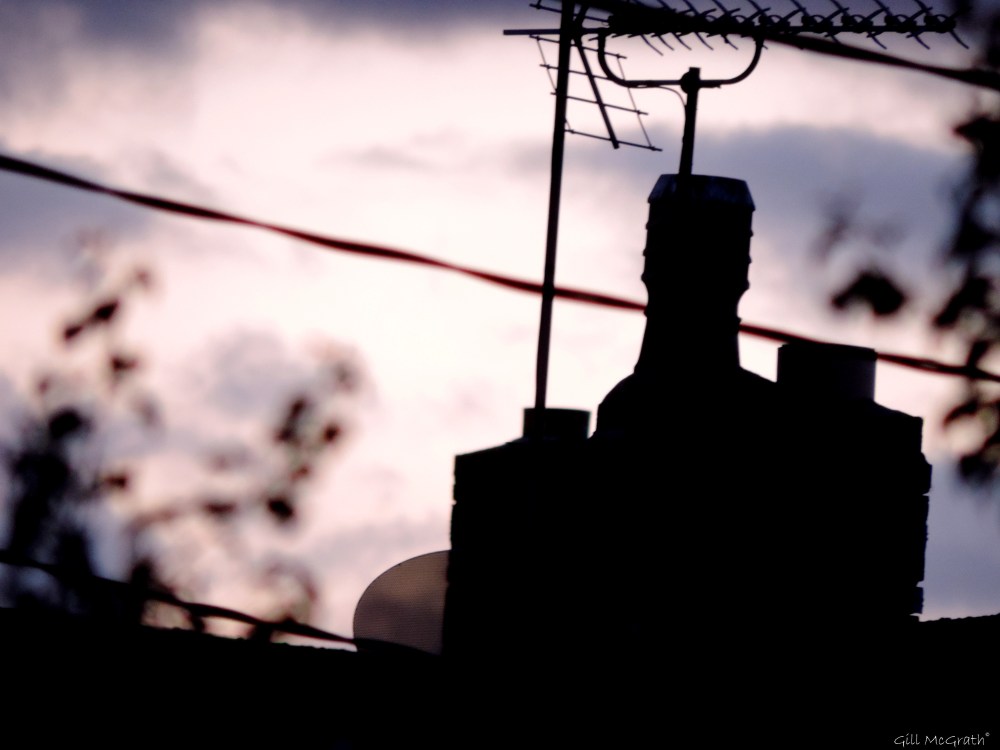 2015 05 31 1 DSCN7363 jpg sig