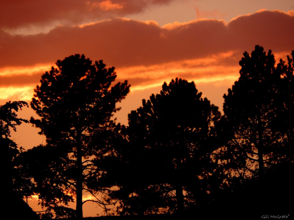 2015 05 31 7 DSCN7350 jpg sig