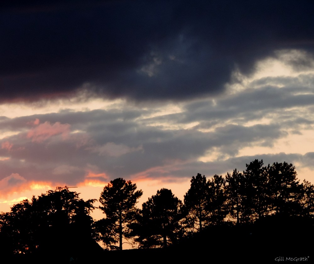 2015 05 31 8 DSCN7359 jpg sig