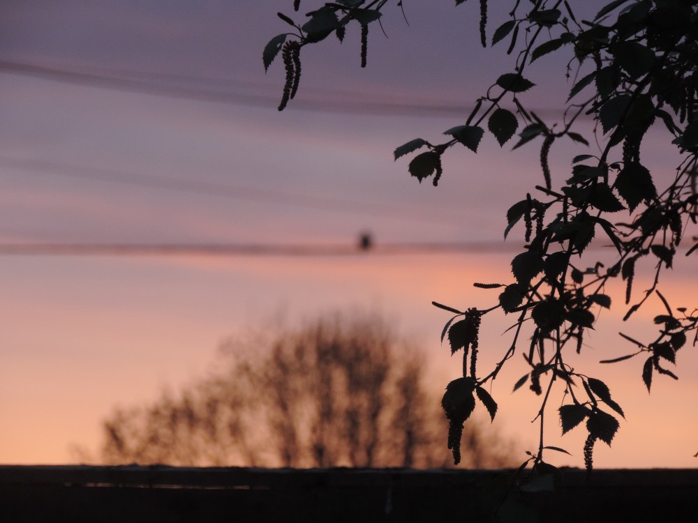 215 05 02 before and after pop DSCN3127 jpg