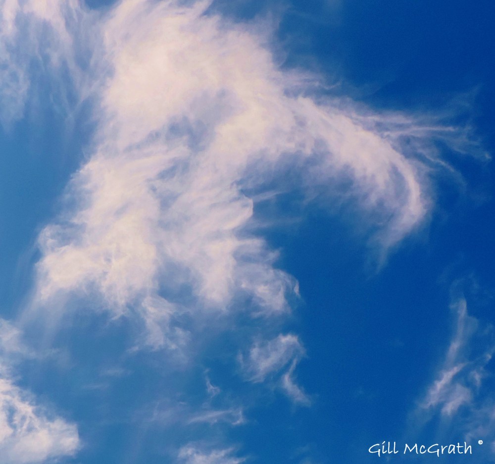 2014 06 13 feathers floating in the sky jpg sig