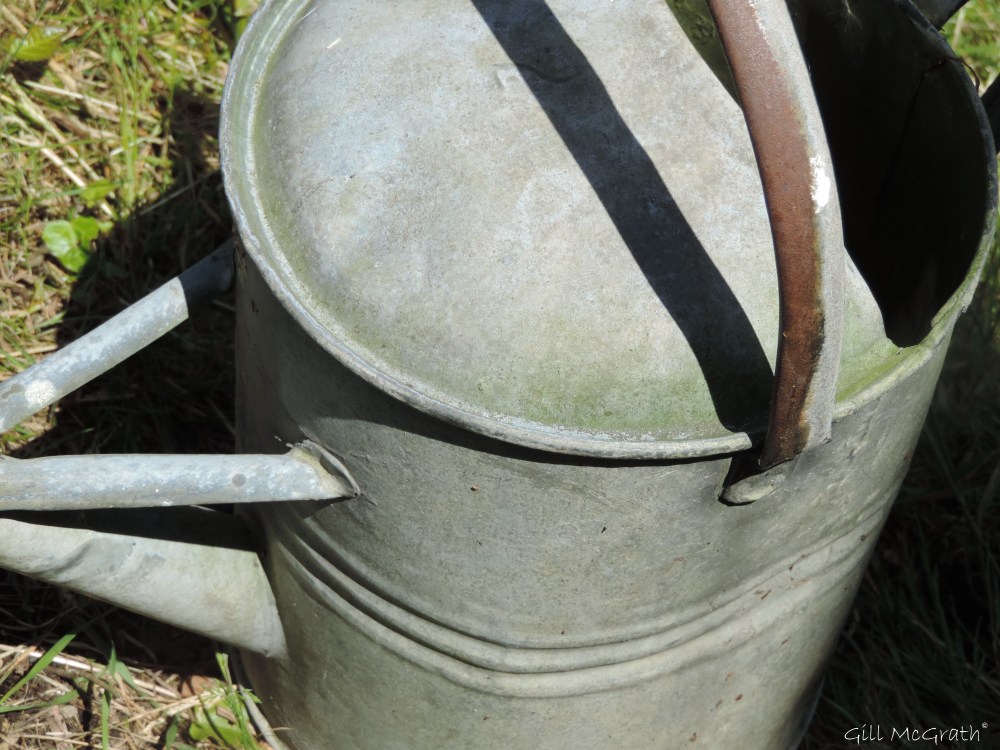 2015 06 04  11 oclock DSCN8126 jpg sig