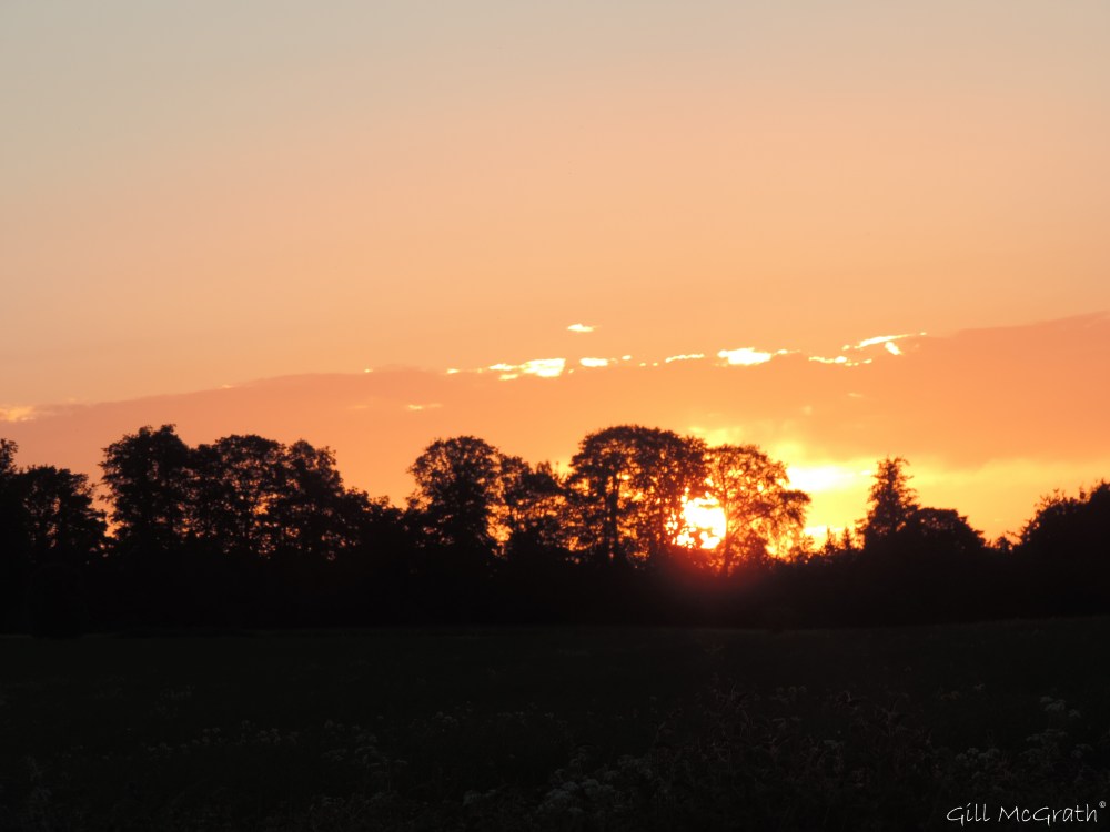 4 2015 06 04 913 sunset  DSCN8294 jpg sig