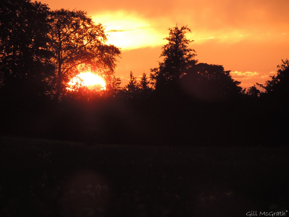 6 2015 06 04 916  sunset DSCN8312 jpg sig