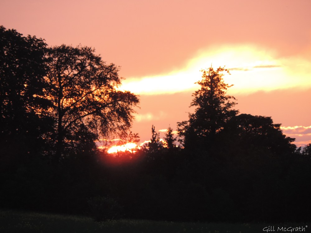 7 2015 06 04 918 sunset DSCN8326 jpg sig