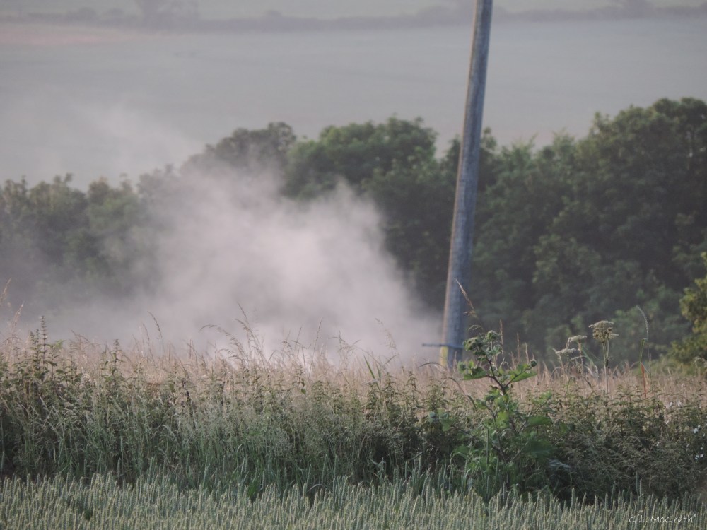 2015 07 07 DSCN4837 jpg sig