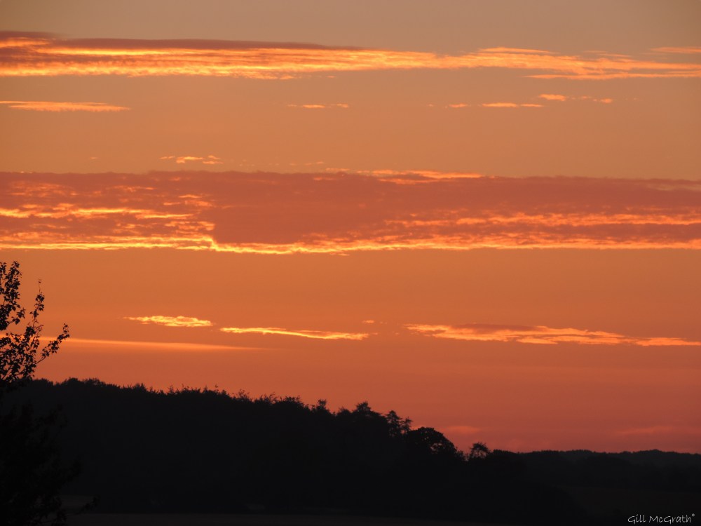 2015 07 10 DSCN5152 jpg sig