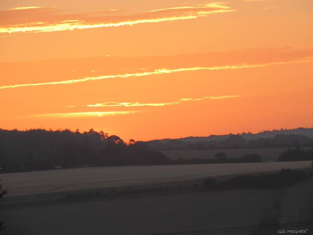 2015 07 10 DSCN5184 jpg sig