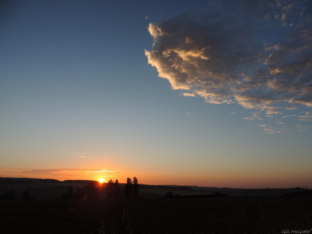 2015 07 10 DSCN5216 jpg sig