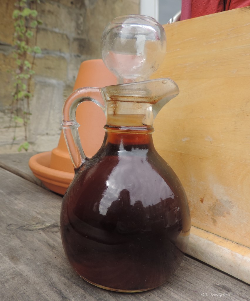 2015 08 17 accent summer DSCN8842.jpg sig