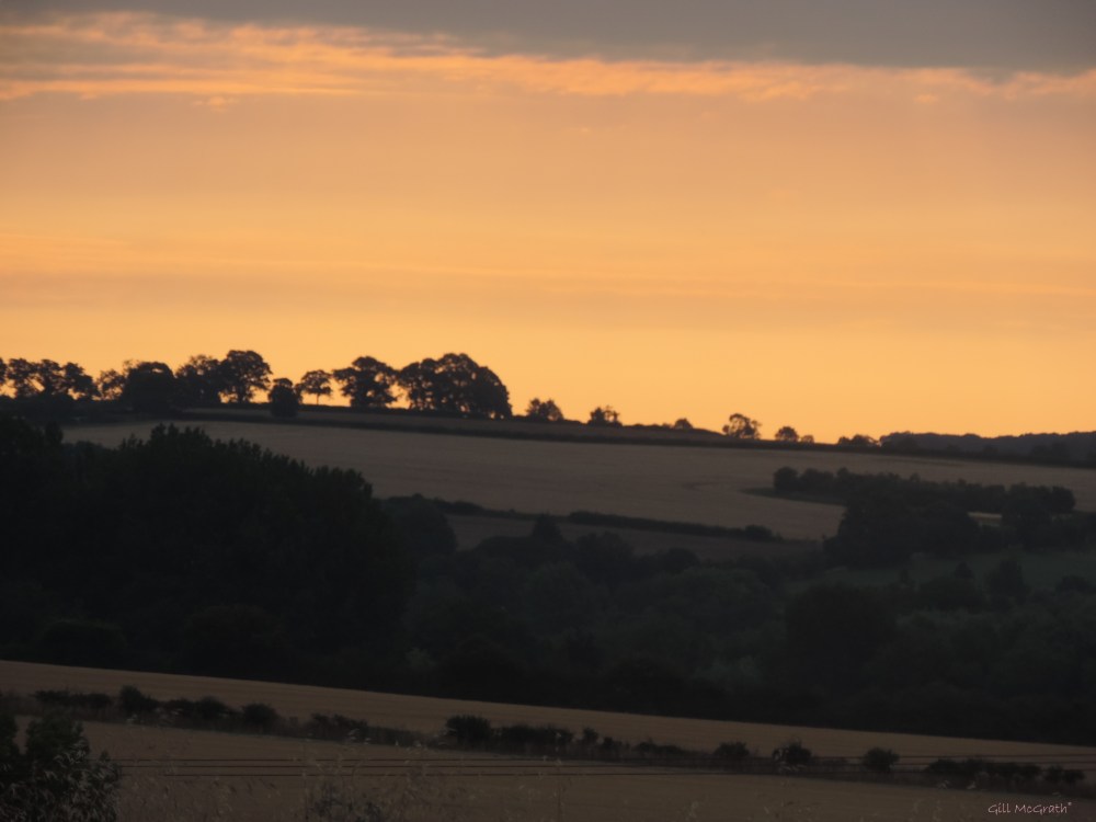 2015 08 17 summer accent DSCN8780.jpg sig