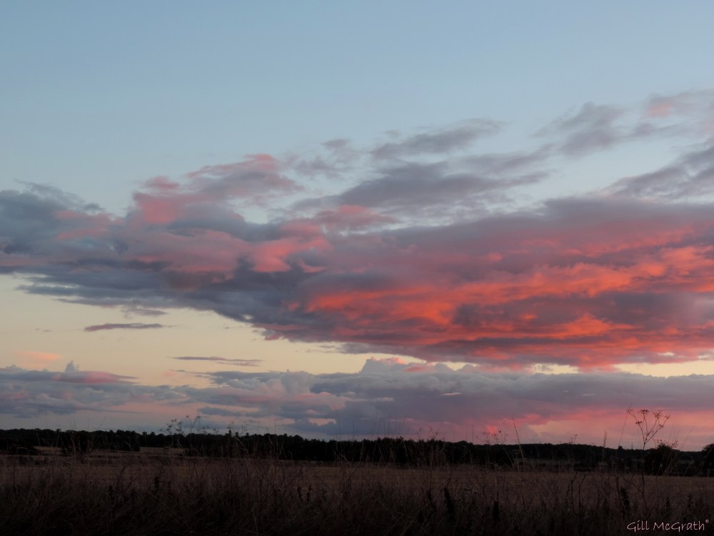 2015 08 23 sky DSCN9595.JPG sig