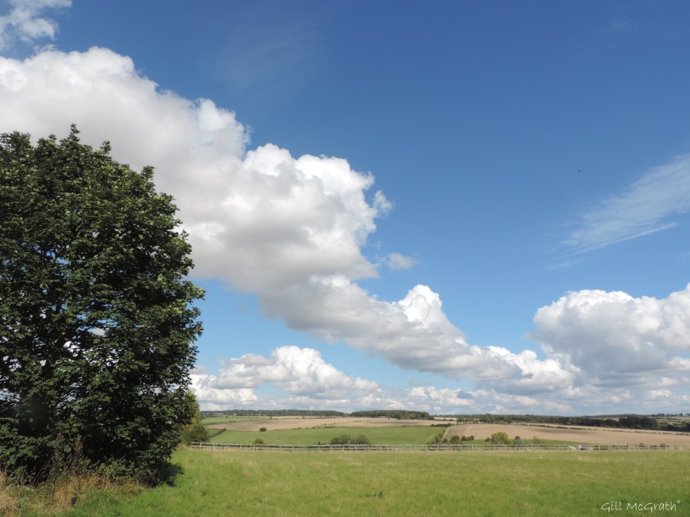 1 2015 09 12 cloud DSCN2853.jpg sig