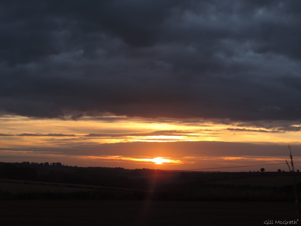 1 2015 09 13 figgy DSCN2932.jpg sig