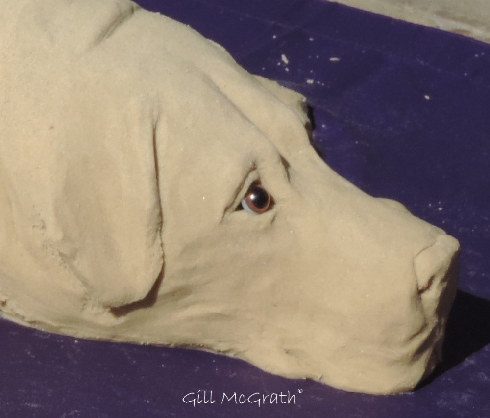 1 2015 09 30 dog DSCN4367.jpg sig