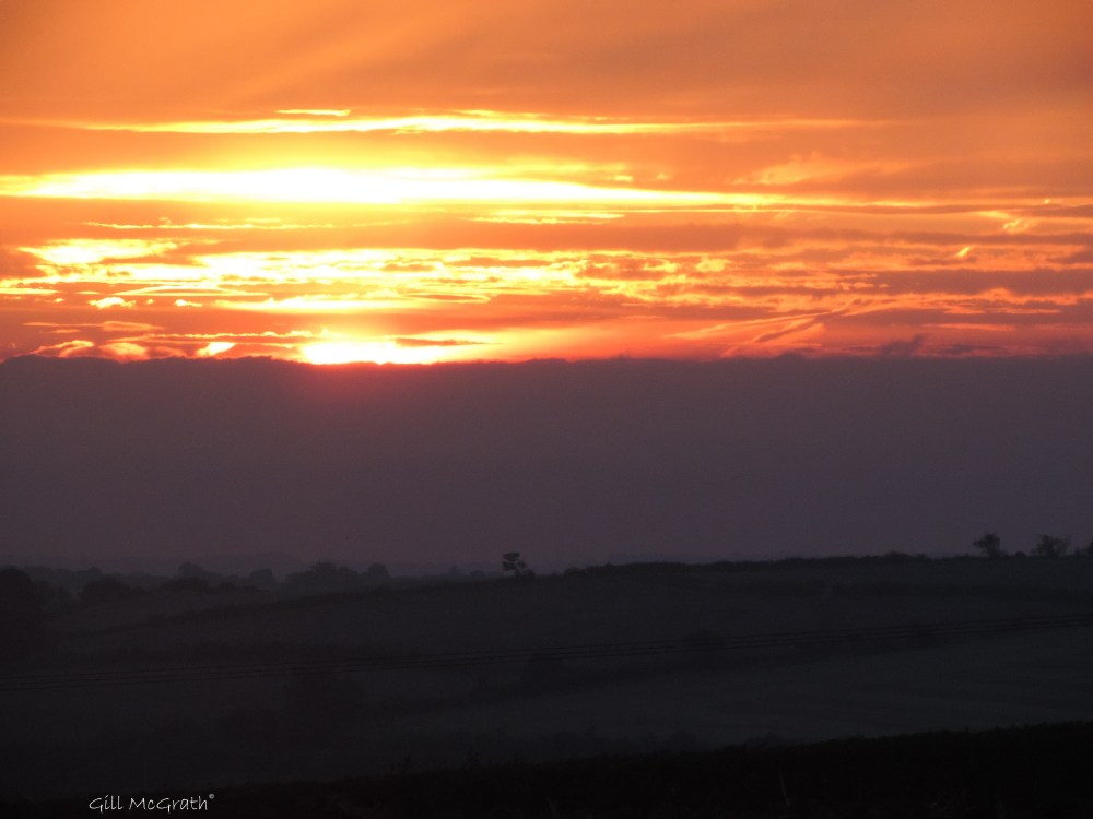 1 before rain DSCN3735.jpg sig