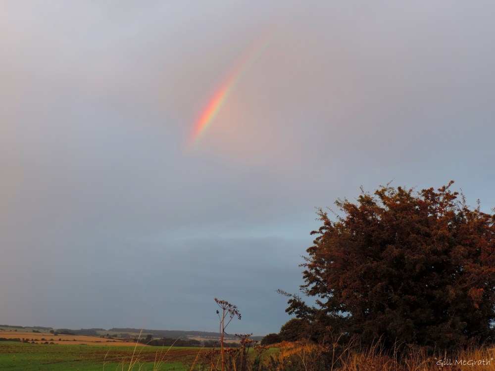 1b 2015-09-01 745 fallow DSCN0475.jpg sig