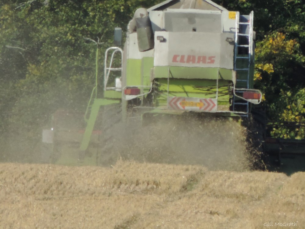 2015 09 10 machine field DSCN2500.jpg sig