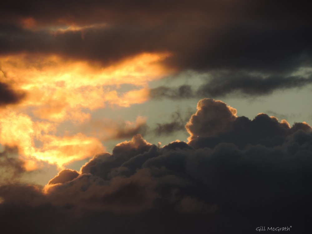 3 2015-09-01 747 fallow DSCN0493.jpg sig