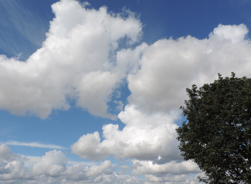 3 2015 09 12 cloud DSCN2848.jpg sig