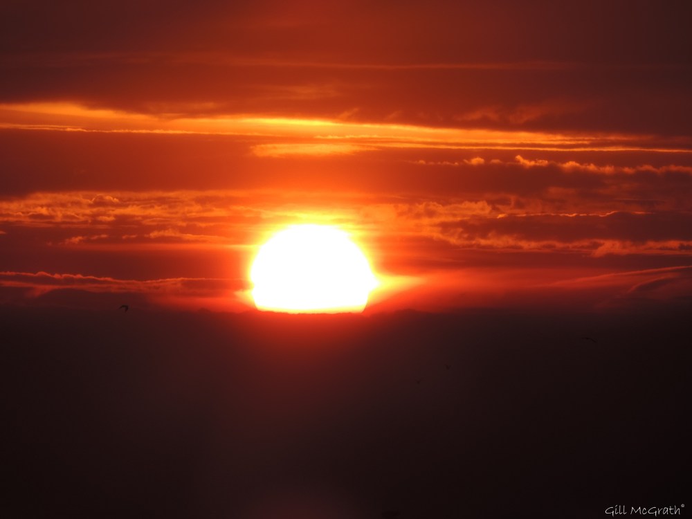 3 before rain DSCN3751.jpg sig