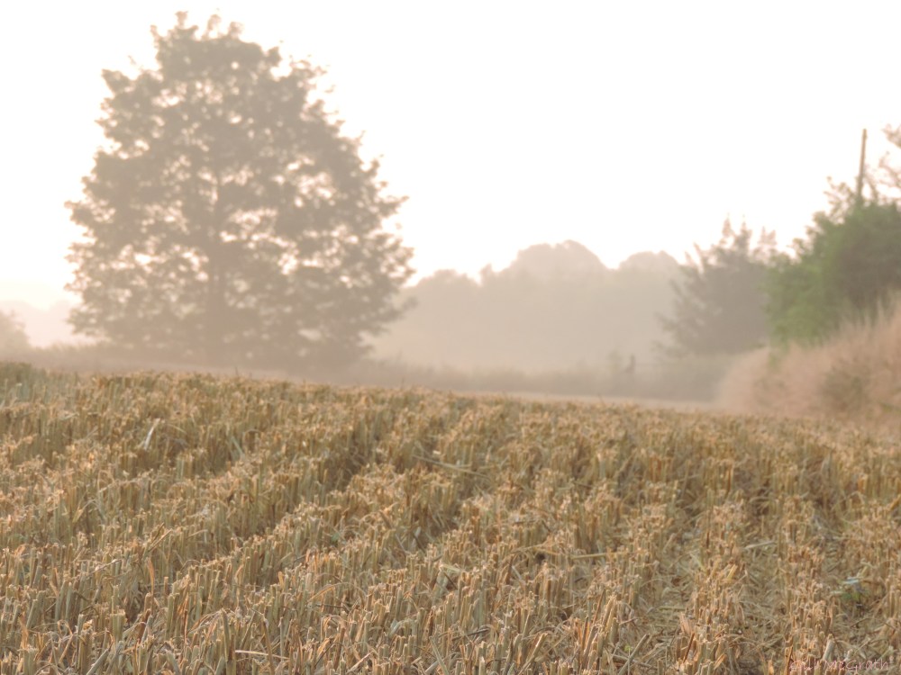 4 2015 09 10 DSCN2443.jpg sig