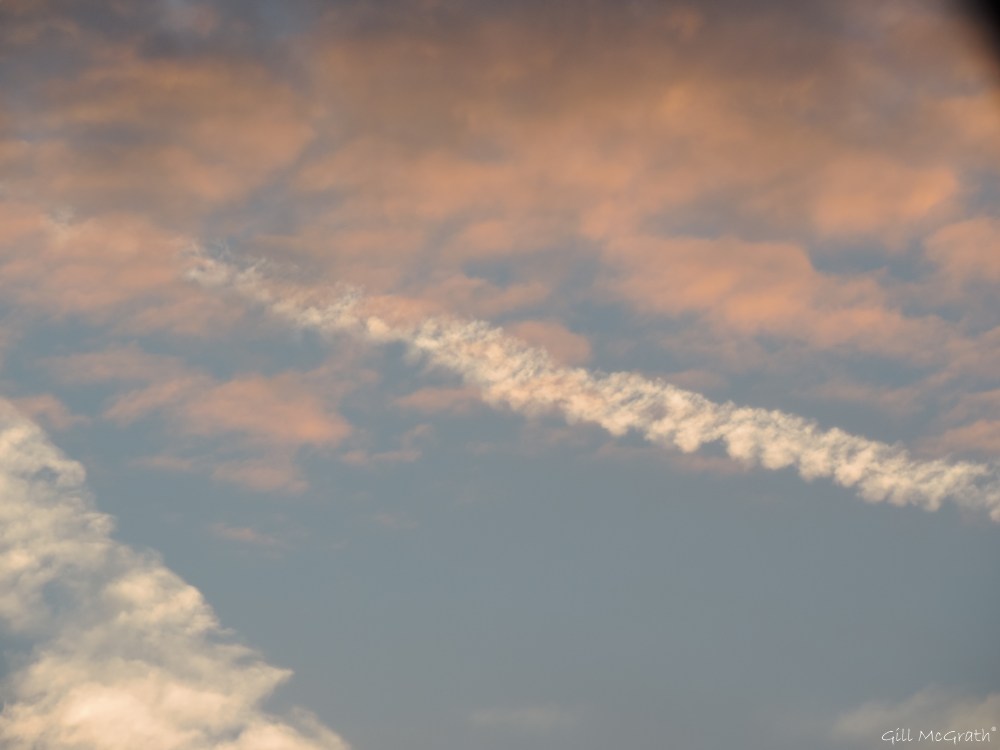 1 2015 10 06 silk DSCN5632.jpg sig