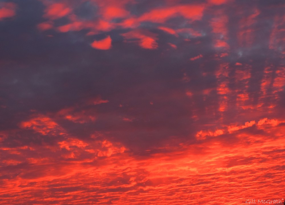 1 2015 10 11 red evening DSCN7003.jpg sig