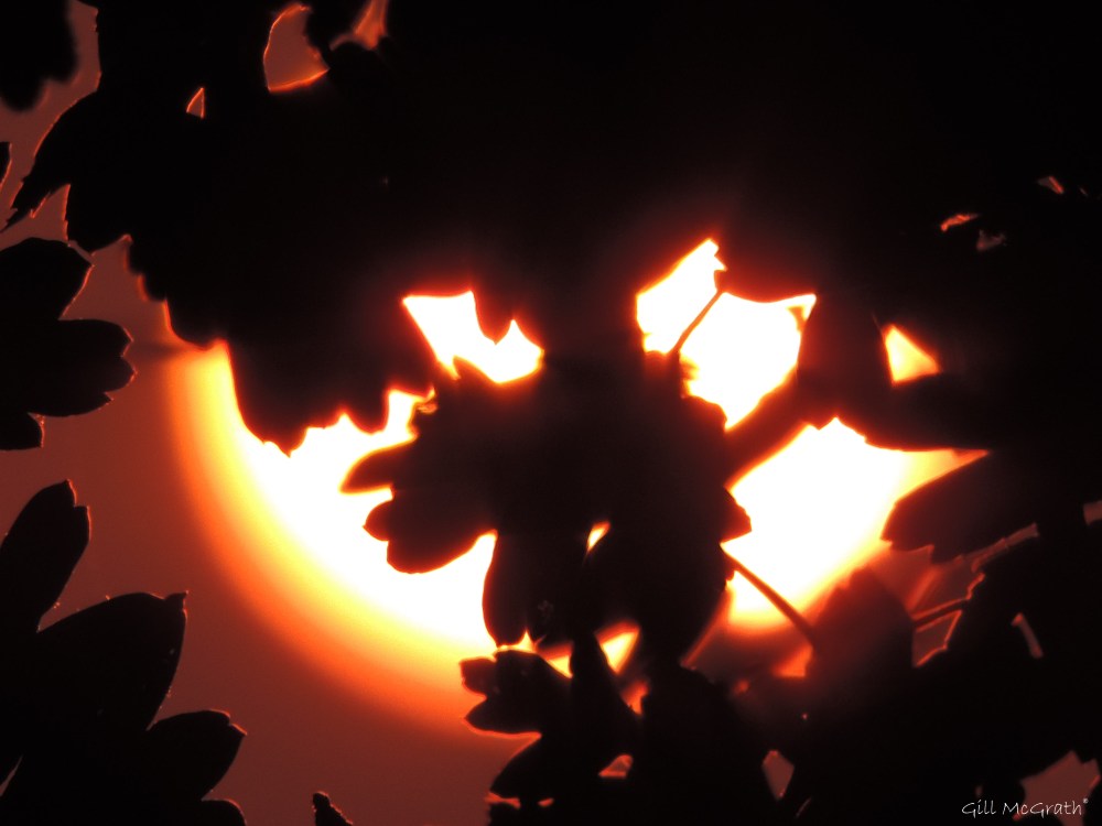 2 2015 10 02 DSCN5265.jpg sig