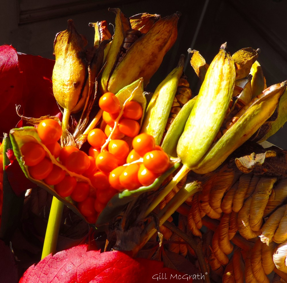 2015 10 14 autumn fruit DSCN7509.jpg sig