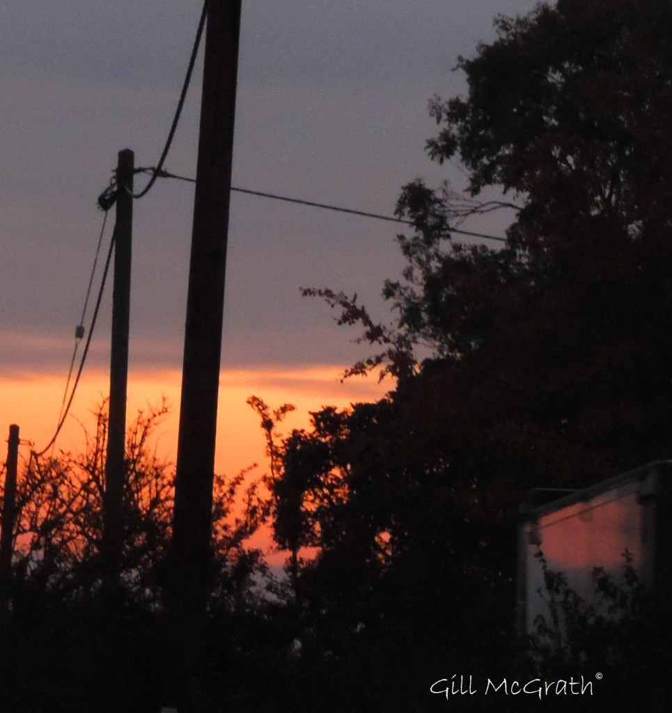 2015 10 20 sunflash DSCN8041.jpg sig