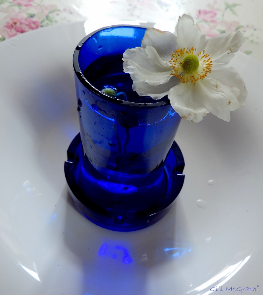 2015 20 07 white and blue DSCN5880.jpg sig