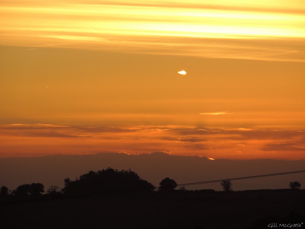 4 2015 10 10 DSCN6807 732 jpg sig